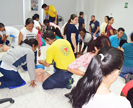 RCP Básico