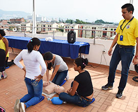 RCP BÁSICO