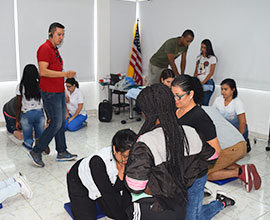 RCP Básico