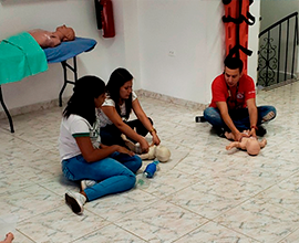 RCP BásicO
