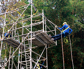 RESCATE VERTICAL