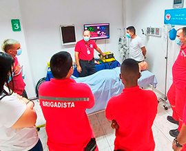 RCP BÁSICO