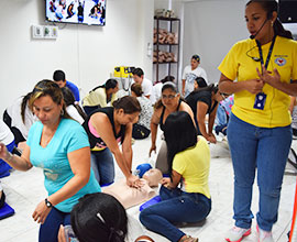 RCP BÁSICO