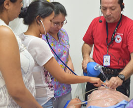 RCP BÁSICO