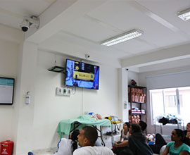 RCP Básico